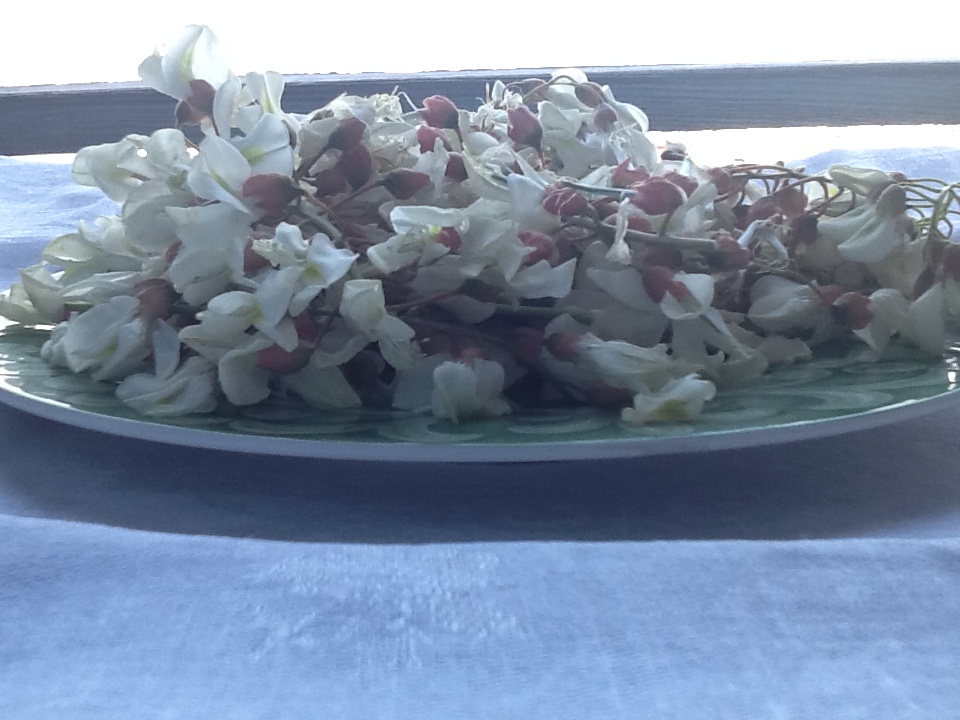 Amaranth Risotto Blog - Savouring Corsica